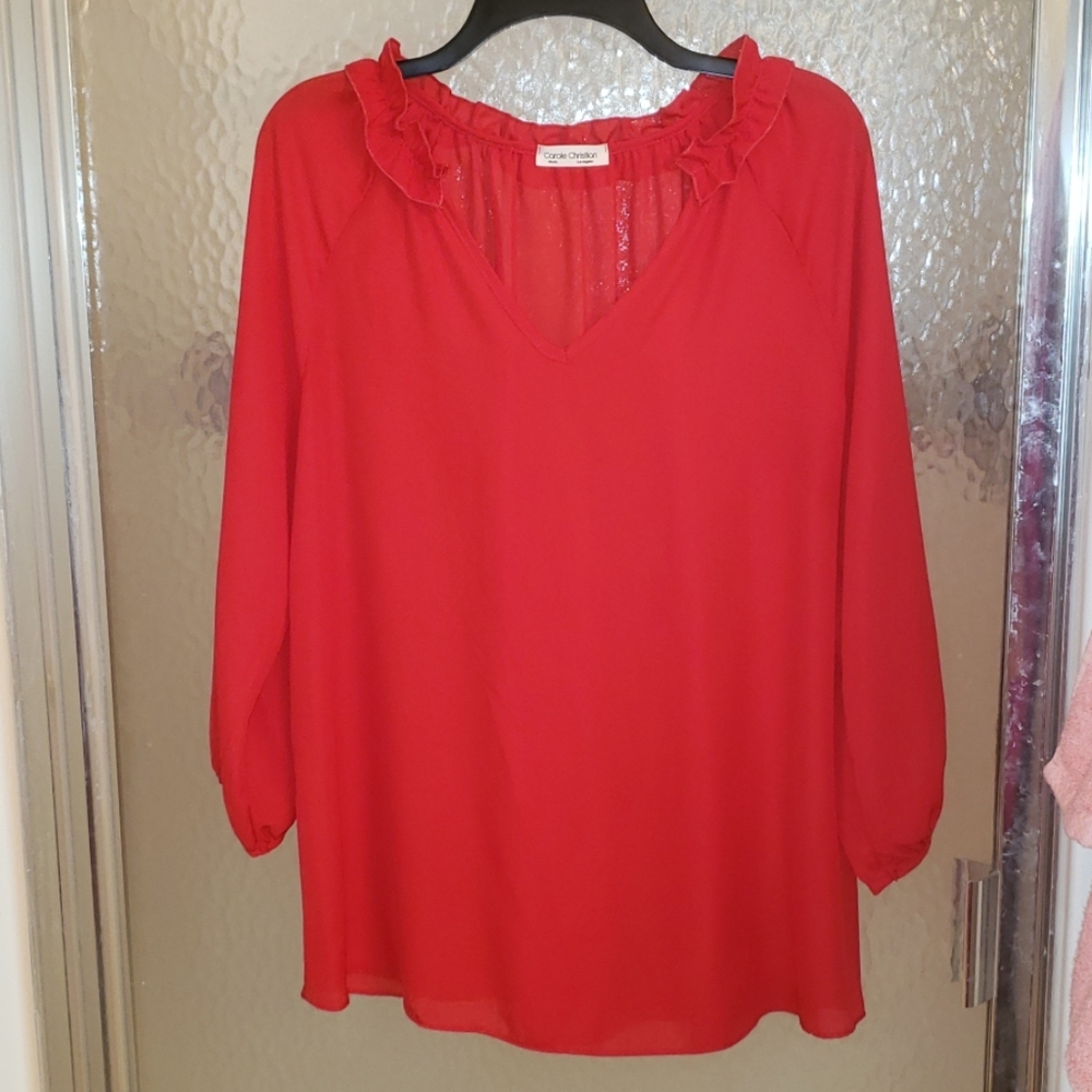 NWOT Boutique Sheer-Style Top, Size Large